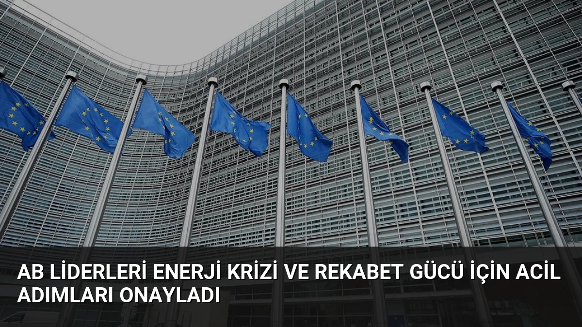 AB Liderleri Enerji Krizi ve Rekabet Gücü İçin Acil Adımları Onayladı