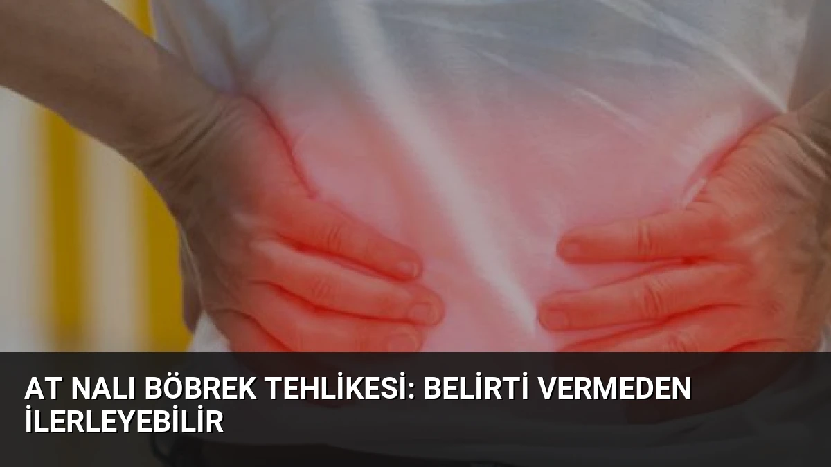At Nalı Böbrek Tehlikesi: Belirti Vermeden İlerleyebilir