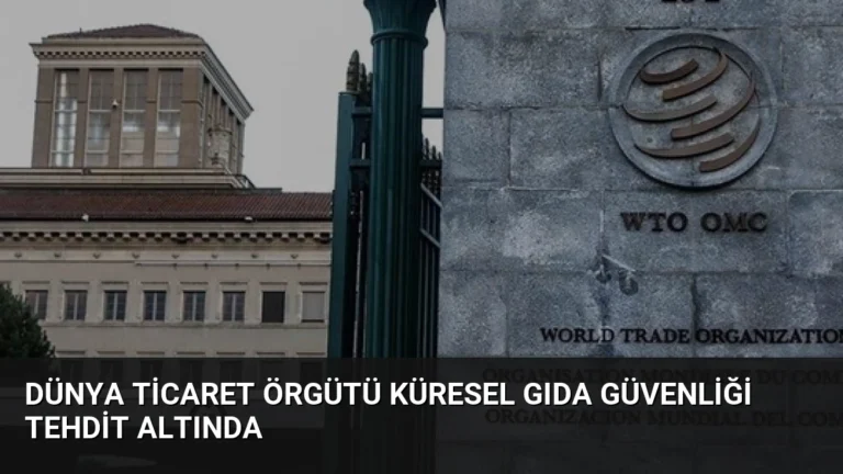 Dünya Ticaret Örgütü Küresel Gıda Güvenliği Tehdit Altında