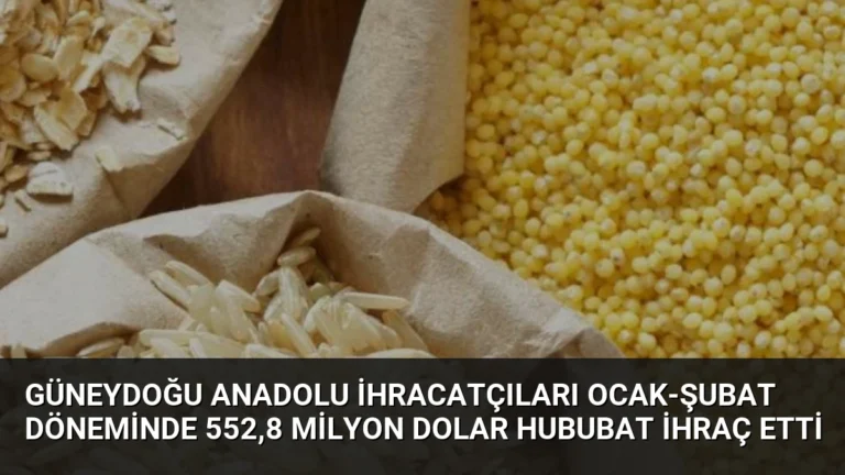 Güneydoğu Anadolu İhracatçıları Ocak-Şubat Döneminde 552,8 Milyon Dolar Hububat İhraç Etti