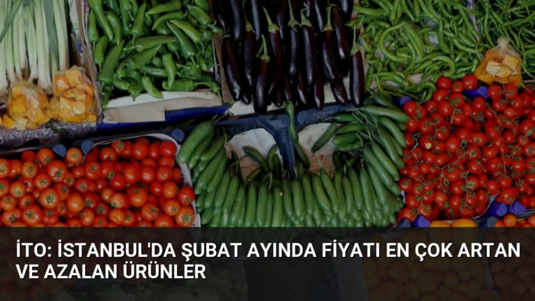 İTO: İstanbul’da Şubat Ayında Fiyatı En Çok Artan ve Azalan Ürünler