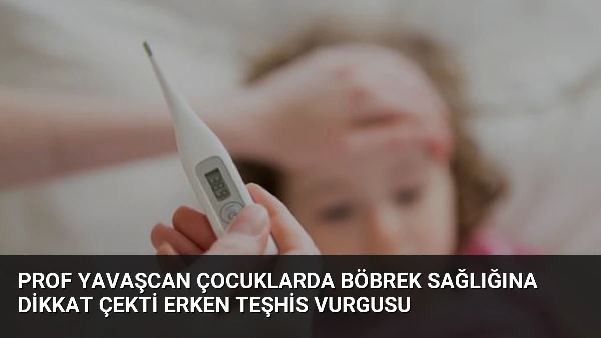 Prof Yavaşcan Çocuklarda Böbrek Sağlığına Dikkat Çekti Erken Teşhis Vurgusu