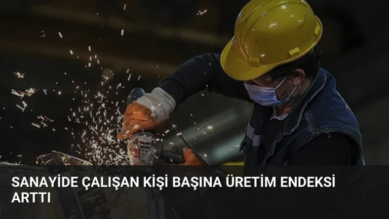 Sanayide çalışan kişi başına üretim endeksi arttı