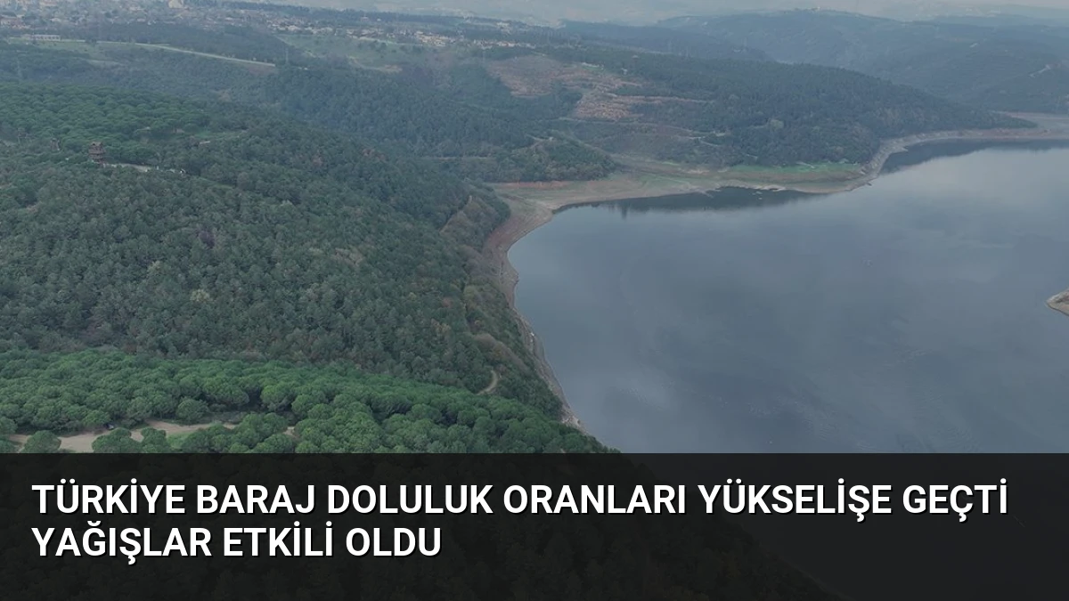 Türkiye Baraj Doluluk Oranları Yükselişe Geçti Yağışlar Etkili Oldu