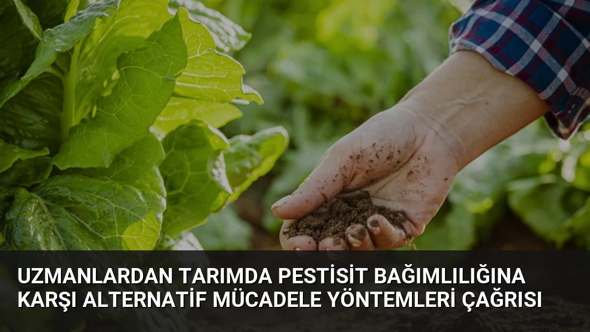 Uzmanlardan Tarımda Pestisit Bağımlılığına Karşı Alternatif Mücadele Yöntemleri Çağrısı
