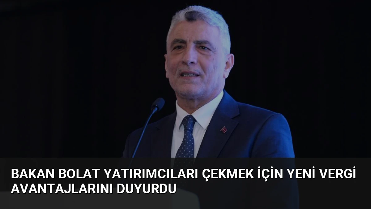 Bakan Bolat Yatırımcıları Çekmek İçin Yeni Vergi Avantajlarını Duyurdu