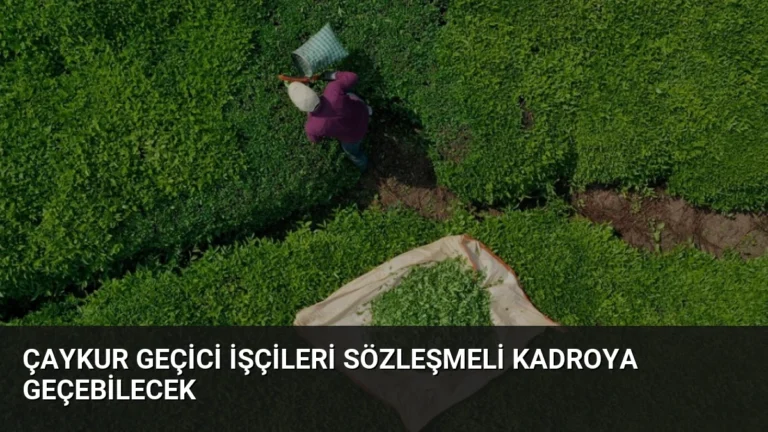 ÇAYKUR Geçici İşçileri Sözleşmeli Kadroya Geçebilecek