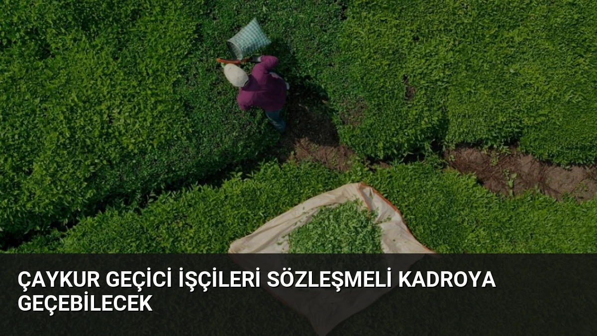 ÇAYKUR Geçici İşçileri Sözleşmeli Kadroya Geçebilecek