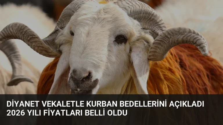 Diyanet Vekaletle Kurban Bedellerini Açıkladı 2026 Yılı Fiyatları Belli Oldu