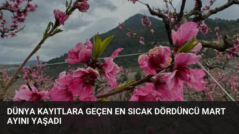 Dünya Kayıtlara Geçen En Sıcak Dördüncü Mart Ayını Yaşadı