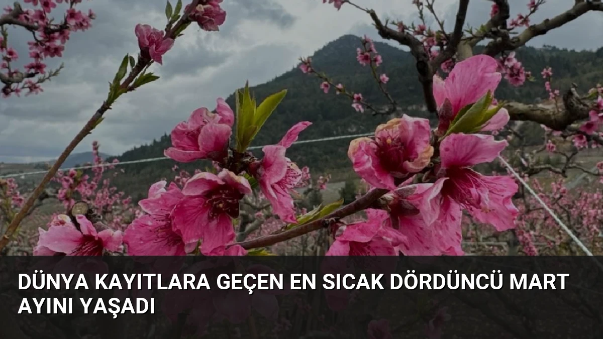 Dünya Kayıtlara Geçen En Sıcak Dördüncü Mart Ayını Yaşadı