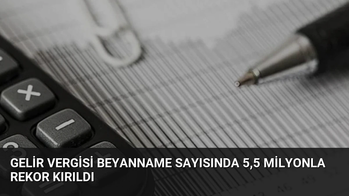 Gelir Vergisi Beyanname Sayısında 5,5 Milyonla Rekor Kırıldı