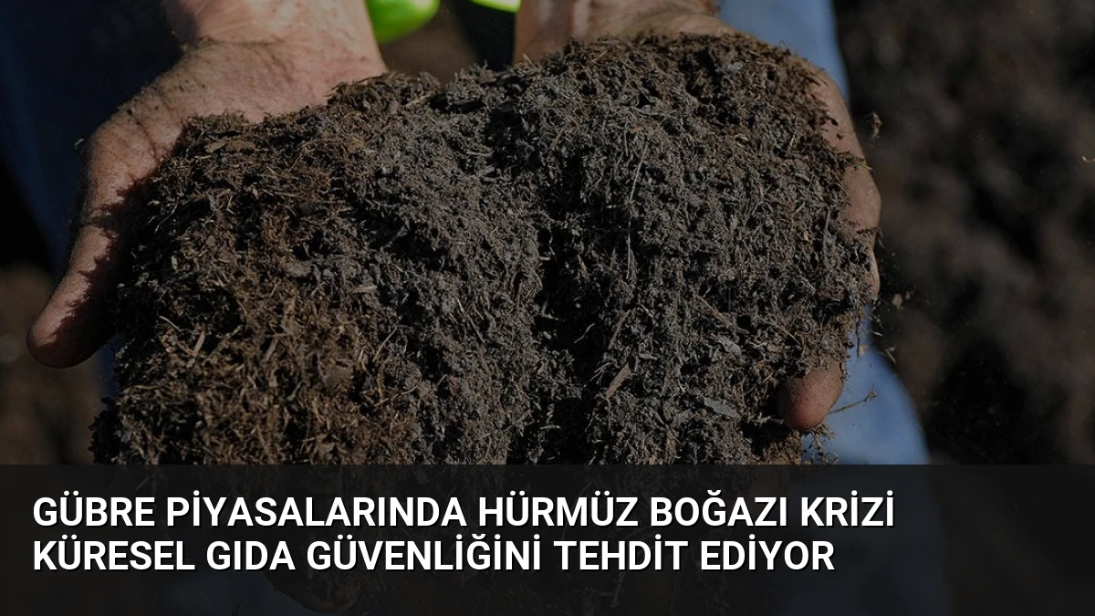 Gübre Piyasalarında Hürmüz Boğazı Krizi Küresel Gıda Güvenliğini Tehdit Ediyor