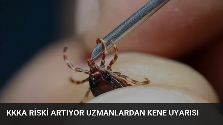 KKKA Riski Artıyor Uzmanlardan Kene Uyarısı