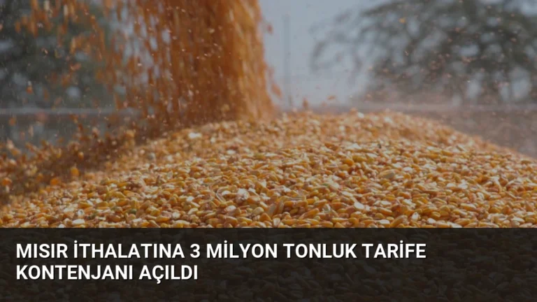 Mısır İthalatına 3 Milyon Tonluk Tarife Kontenjanı Açıldı