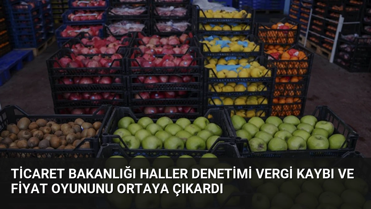 Ticaret Bakanlığı Haller Denetimi Vergi Kaybı ve Fiyat Oyununu Ortaya Çıkardı