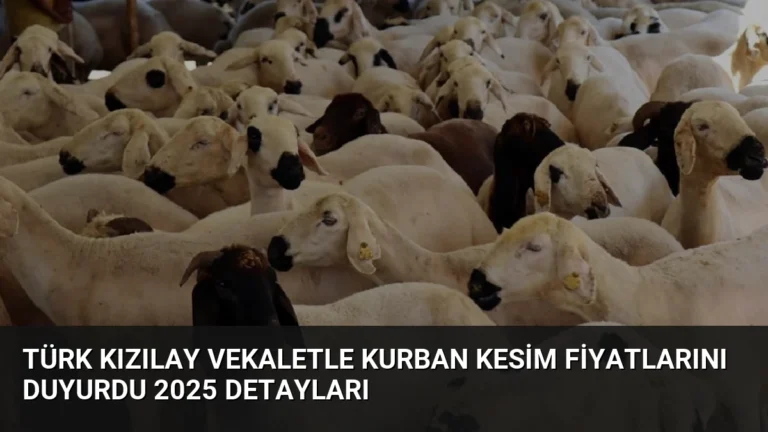 Türk Kızılay Vekaletle Kurban Kesim Fiyatlarını Duyurdu 2025 Detayları