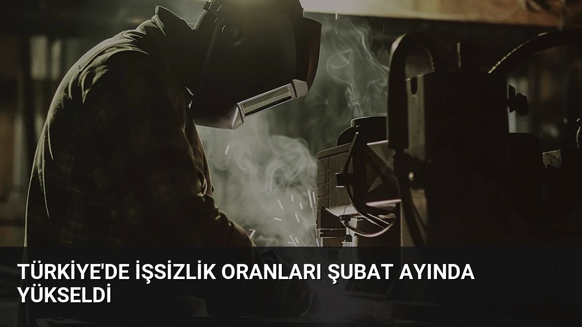 Türkiye’de İşsizlik Oranları Şubat Ayında Yükseldi