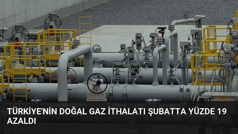 Türkiye’nin Doğal Gaz İthalatı Şubatta Yüzde 19 Azaldı