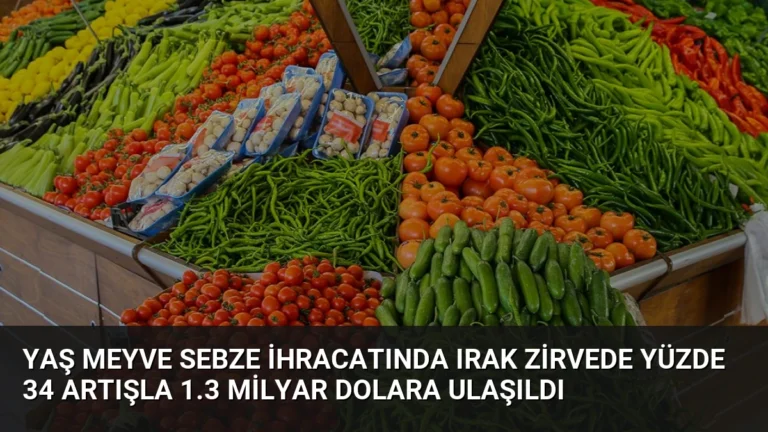 Yaş Meyve Sebze İhracatında Irak Zirvede Yüzde 34 Artışla 1.3 Milyar Dolara Ulaşıldı