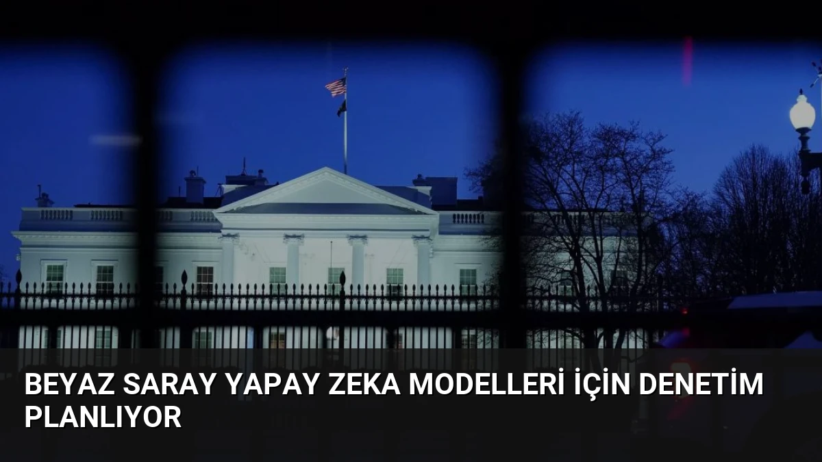 Beyaz Saray Yapay Zeka Modelleri İçin Denetim Planlıyor