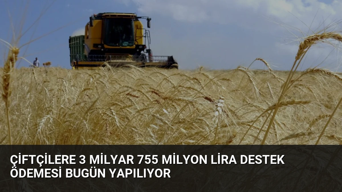 Çiftçilere 3 Milyar 755 Milyon Lira Destek Ödemesi Bugün Yapılıyor