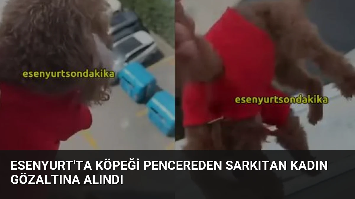 Esenyurt’ta Köpeği Pencereden Sarkıtan Kadın Gözaltına Alındı