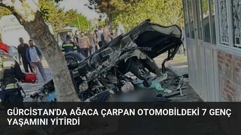 Gürcistan’da Ağaca Çarpan Otomobildeki 7 Genç Yaşamını Yitirdi
