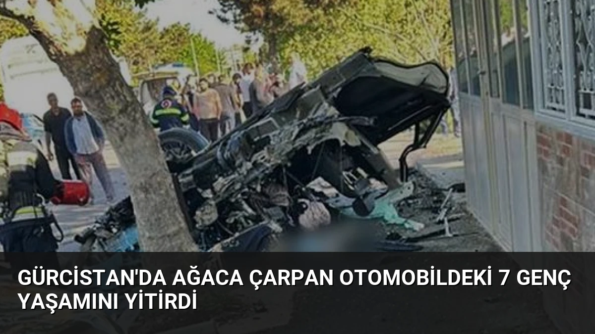 Gürcistan’da Ağaca Çarpan Otomobildeki 7 Genç Yaşamını Yitirdi