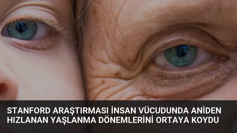 Stanford Araştırması İnsan Vücudunda Aniden Hızlanan Yaşlanma Dönemlerini Ortaya Koydu