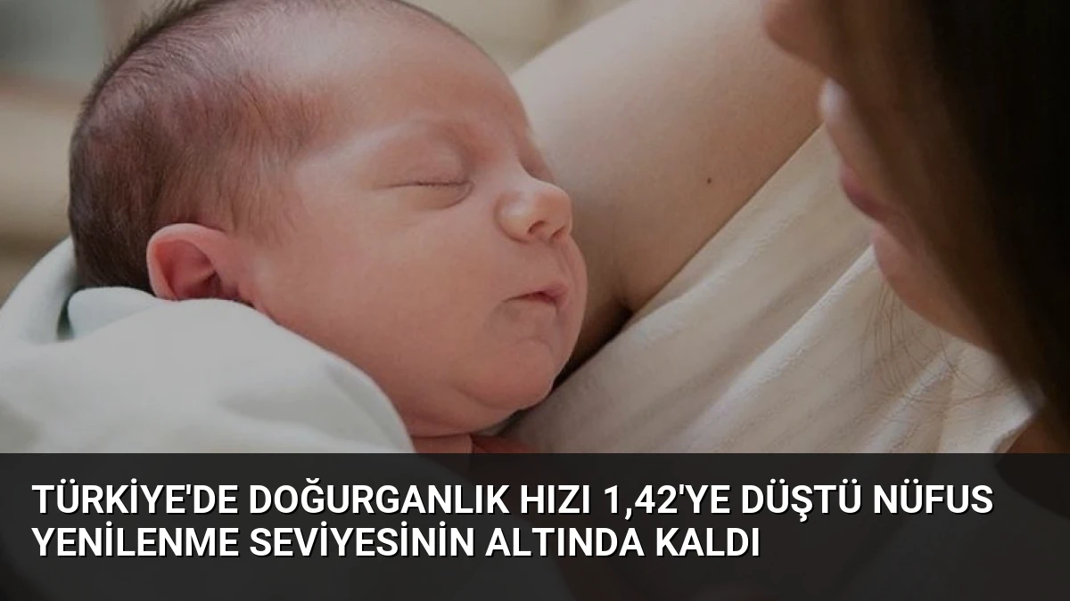 Türkiye’de Doğurganlık Hızı 1,42’ye Düştü Nüfus Yenilenme Seviyesinin Altında Kaldı