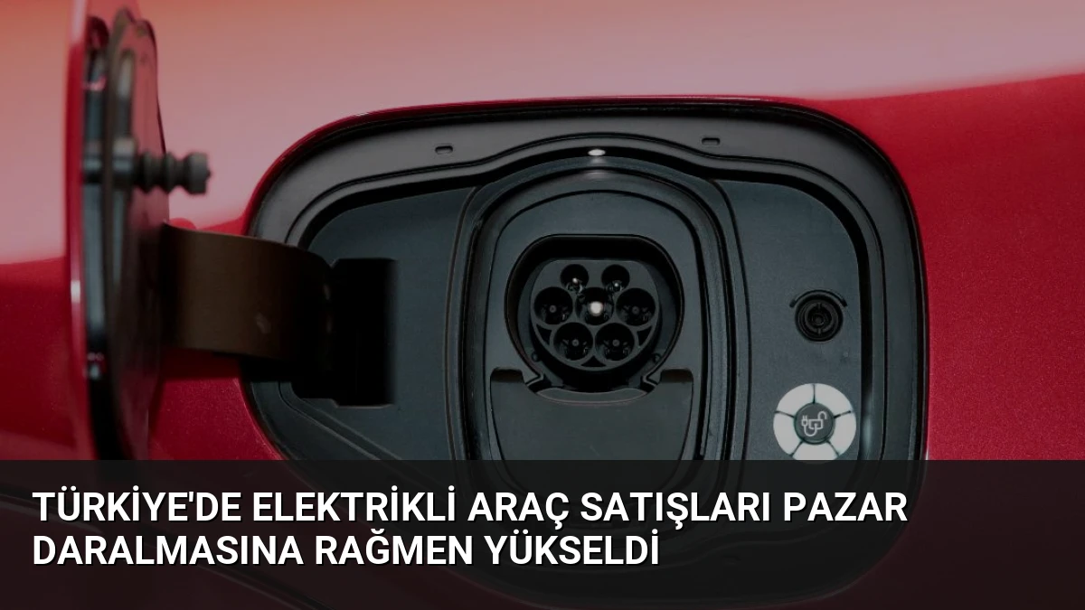 Türkiye’de Elektrikli Araç Satışları Pazar Daralmasına Rağmen Yükseldi