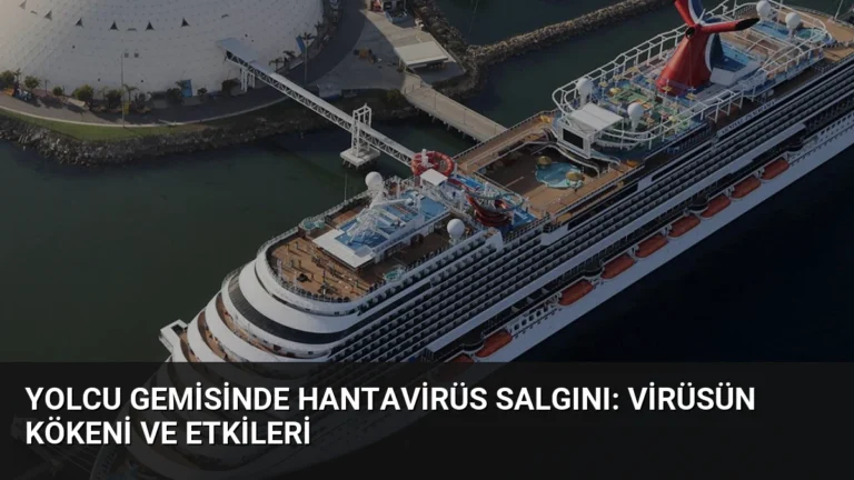 Yolcu Gemisinde Hantavirüs Salgını: Virüsün Kökeni ve Etkileri