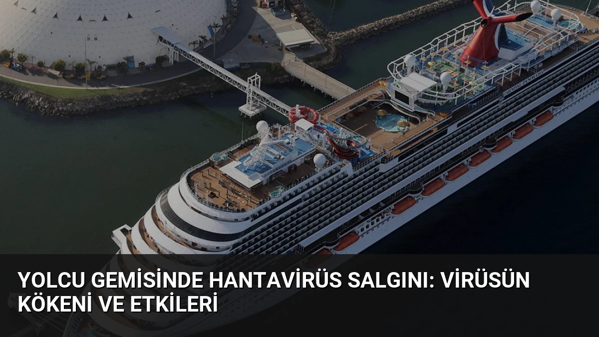 Yolcu Gemisinde Hantavirüs Salgını: Virüsün Kökeni ve Etkileri