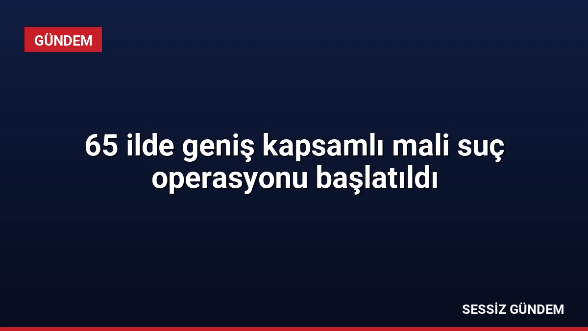 65 ilde geniş kapsamlı mali suç operasyonu başlatıldı