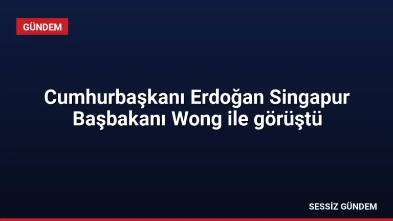Cumhurbaşkanı Erdoğan Singapur Başbakanı Wong ile görüştü