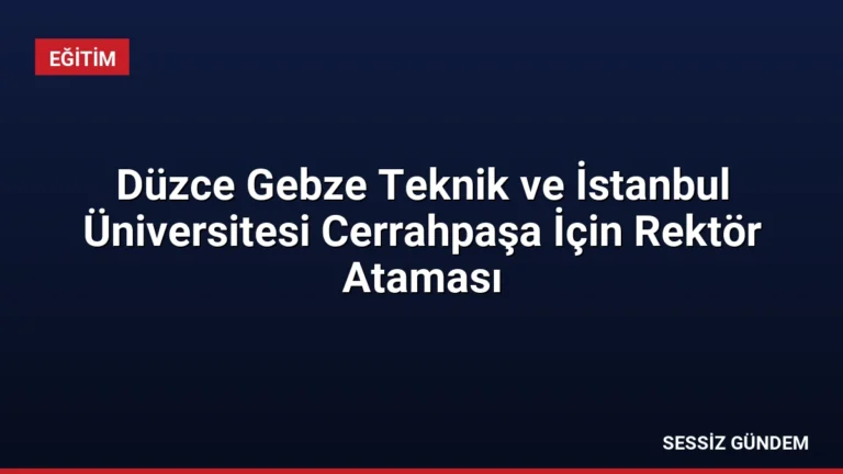 Düzce Gebze Teknik ve İstanbul Üniversitesi Cerrahpaşa İçin Rektör Ataması