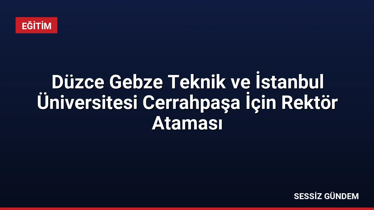 Düzce Gebze Teknik ve İstanbul Üniversitesi Cerrahpaşa İçin Rektör Ataması