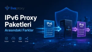 IPv6 Proxy Paketleri Arasındaki Farklar
