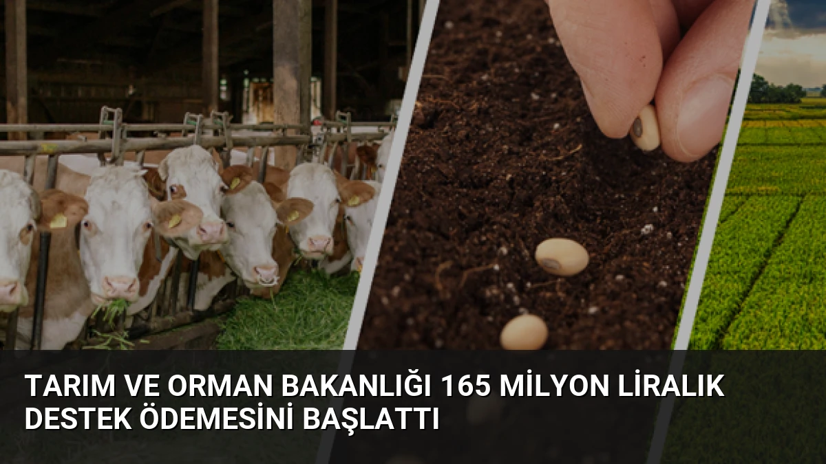 Tarım ve Orman Bakanlığı 165 Milyon Liralık Destek Ödemesini Başlattı