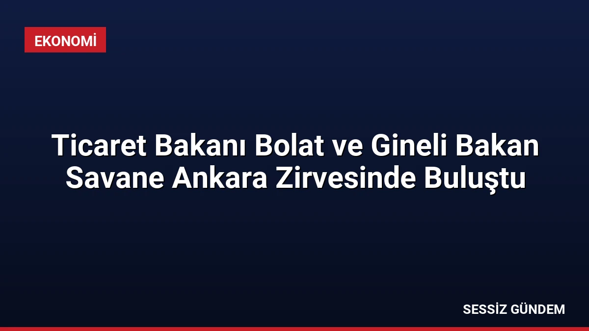 Ticaret Bakanı Bolat ve Gineli Bakan Savane Ankara Zirvesinde Buluştu