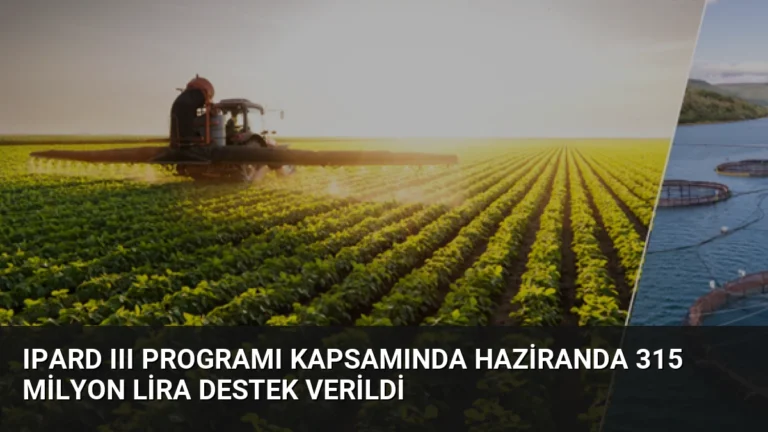 IPARD III Programı Kapsamında Haziranda 315 Milyon Lira Destek Verildi