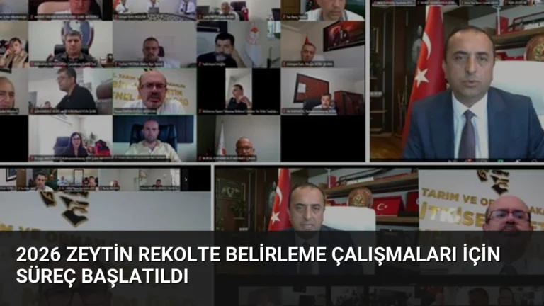 2026 Zeytin Rekolte Belirleme Çalışmaları İçin Süreç Başlatıldı