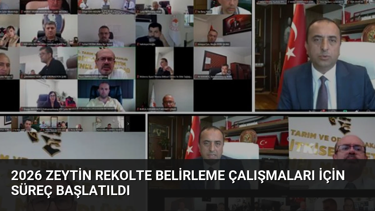 2026 Zeytin Rekolte Belirleme Çalışmaları İçin Süreç Başlatıldı