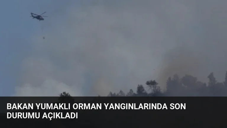 Bakan Yumaklı Orman Yangınlarında Son Durumu Açıkladı