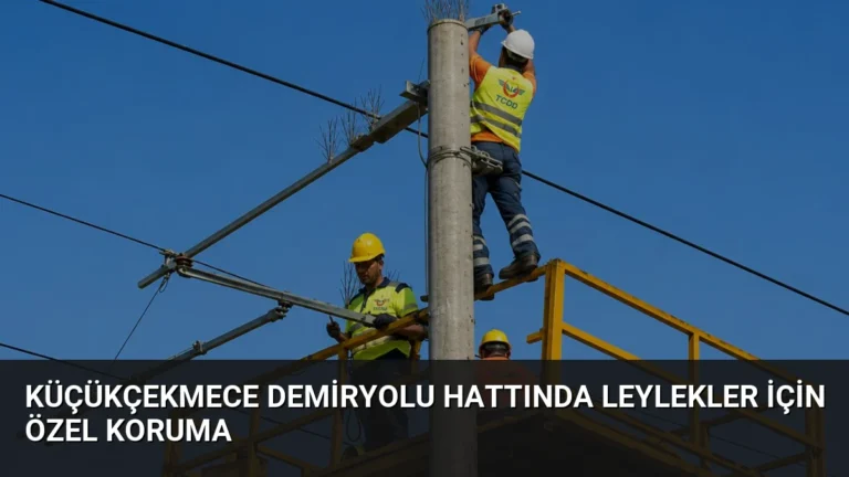 Küçükçekmece Demiryolu Hattında Leylekler İçin Özel Koruma