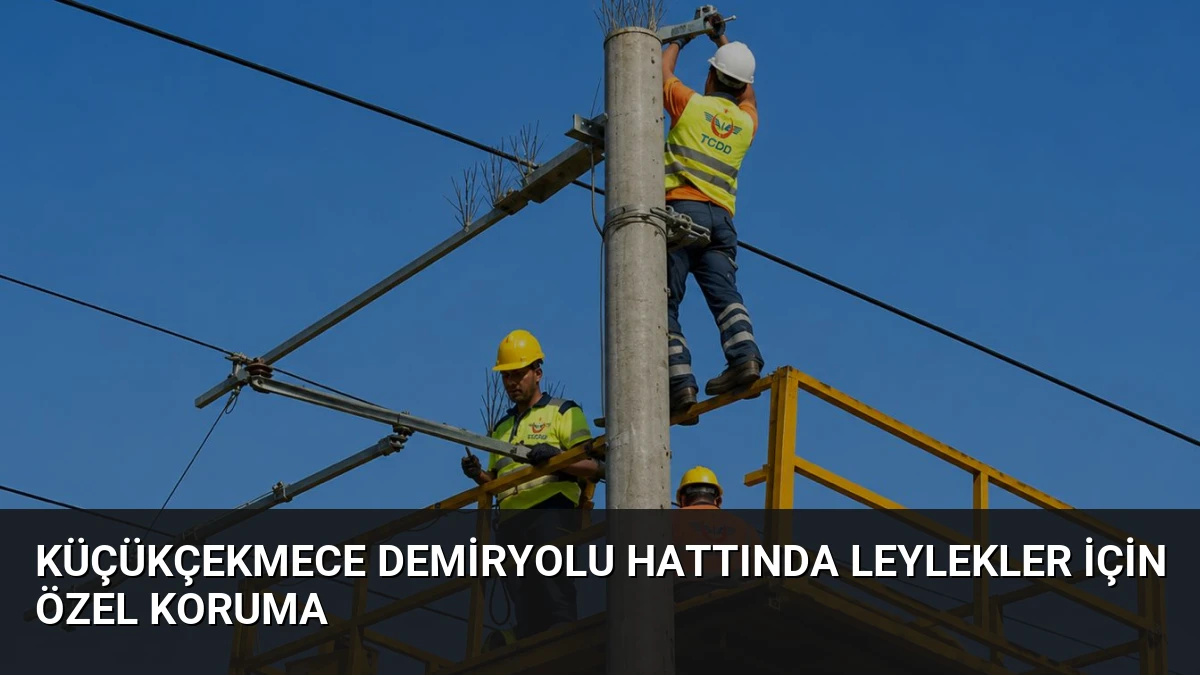 Küçükçekmece Demiryolu Hattında Leylekler İçin Özel Koruma
