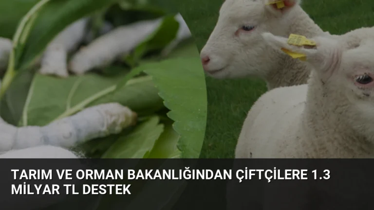 Tarım ve Orman Bakanlığından Çiftçilere 1.3 Milyar TL Destek