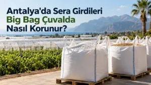 Antalya’da Sera Girdileri Big Bag Çuvalda Nasıl Korunur?
