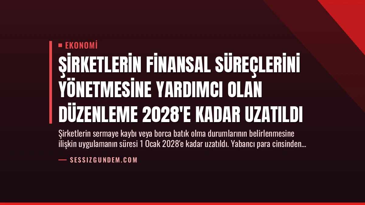 Şirketlerin Finansal Süreçlerini Yönetmesine Yardımcı Olan Düzenleme 2028’e Kadar Uzatıldı